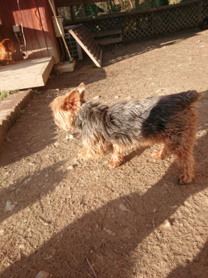 f:id:roukenhome-ann:20190203175350j:plain