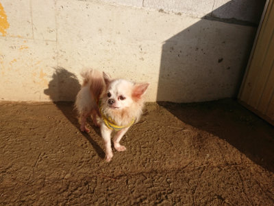 f:id:roukenhome-ann:20190203175427j:plain