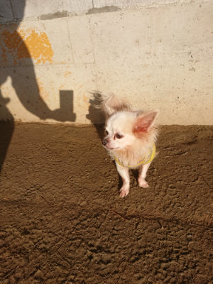 f:id:roukenhome-ann:20190203175434j:plain