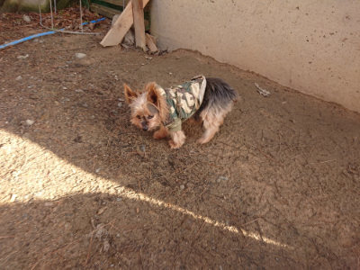 f:id:roukenhome-ann:20190203175629j:plain