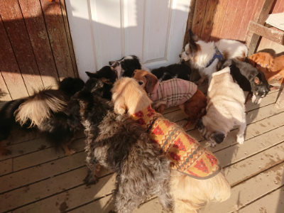 f:id:roukenhome-ann:20190203181515j:plain