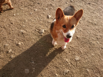 f:id:roukenhome-ann:20190203181631j:plain