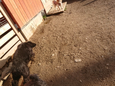 f:id:roukenhome-ann:20190203194425j:plain