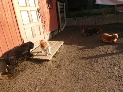 f:id:roukenhome-ann:20190203194530j:plain