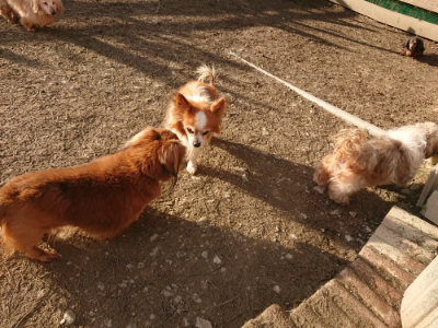 f:id:roukenhome-ann:20190203194824j:plain