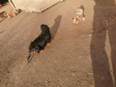 f:id:roukenhome-ann:20190203194952j:plain