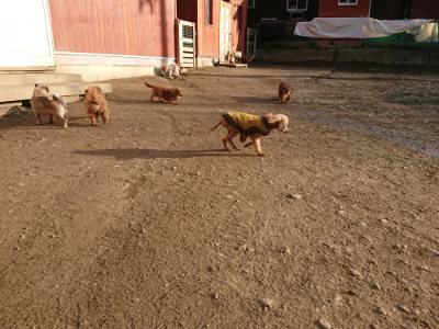 f:id:roukenhome-ann:20190203195901j:plain