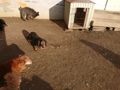 f:id:roukenhome-ann:20190203201611j:plain