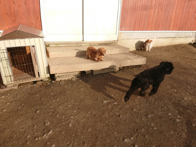 f:id:roukenhome-ann:20190203201655j:plain