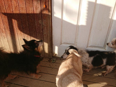 f:id:roukenhome-ann:20190203201813j:plain