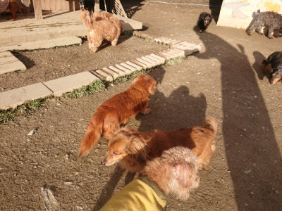 f:id:roukenhome-ann:20190203202153j:plain