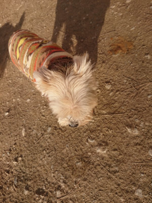 f:id:roukenhome-ann:20190203202229j:plain