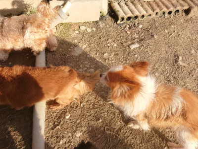 f:id:roukenhome-ann:20190203202249j:plain
