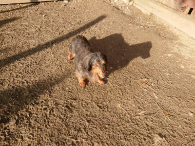 f:id:roukenhome-ann:20190203202319j:plain