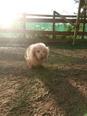 f:id:roukenhome-ann:20190203202507j:plain