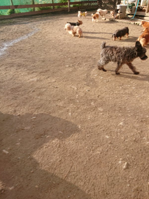 f:id:roukenhome-ann:20190203202646j:plain