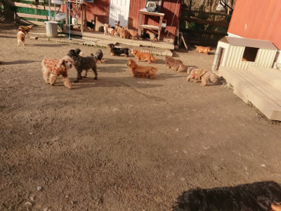 f:id:roukenhome-ann:20190203202715j:plain