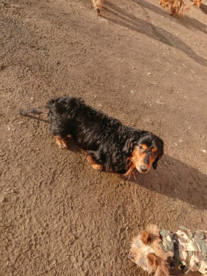 f:id:roukenhome-ann:20190203202725j:plain