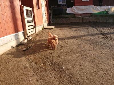 f:id:roukenhome-ann:20190203203850j:plain