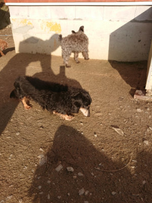 f:id:roukenhome-ann:20190203203953j:plain