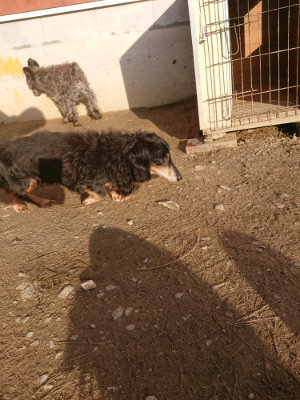f:id:roukenhome-ann:20190203204003j:plain
