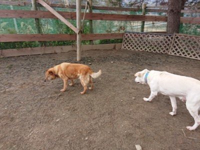f:id:roukenhome-ann:20190203204918j:plain