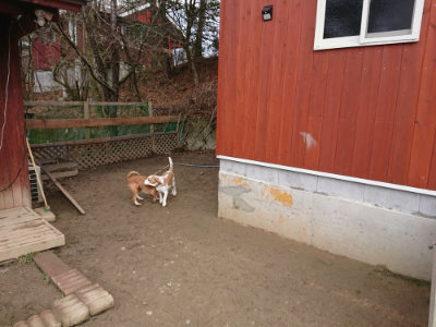 f:id:roukenhome-ann:20190203205259j:plain