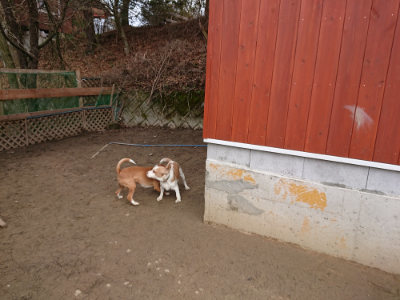f:id:roukenhome-ann:20190203205305j:plain