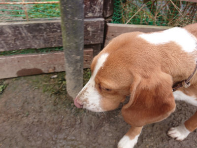 f:id:roukenhome-ann:20190203205346j:plain