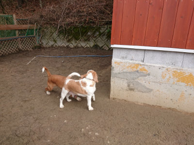 f:id:roukenhome-ann:20190203205352j:plain