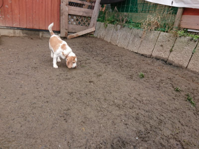 f:id:roukenhome-ann:20190203210911j:plain