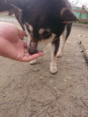 f:id:roukenhome-ann:20190203211005j:plain