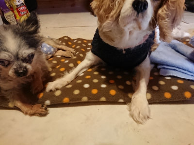 f:id:roukenhome-ann:20190203211039j:plain