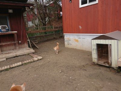 f:id:roukenhome-ann:20190203211234j:plain
