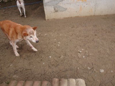 f:id:roukenhome-ann:20190203211536j:plain