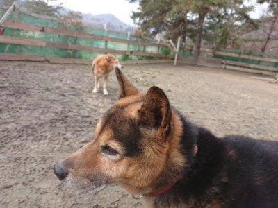f:id:roukenhome-ann:20190203211821j:plain