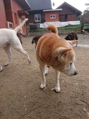 f:id:roukenhome-ann:20190203211959j:plain