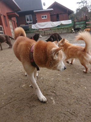 f:id:roukenhome-ann:20190203212022j:plain