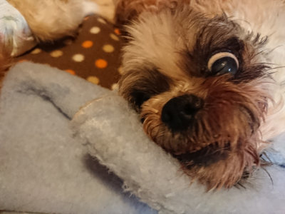f:id:roukenhome-ann:20190203212420j:plain