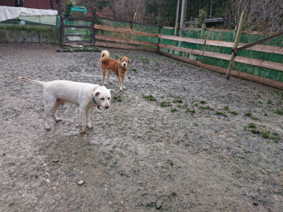f:id:roukenhome-ann:20190204211551j:plain f:id:roukenhome-ann:20190204211551j:plain