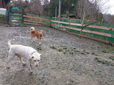 f:id:roukenhome-ann:20190204211614j:plain f:id:roukenhome-ann:20190204211614j:plain