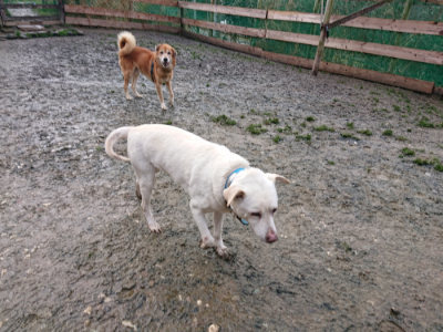 f:id:roukenhome-ann:20190204211621j:plain f:id:roukenhome-ann:20190204211621j:plain