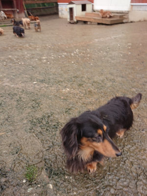 f:id:roukenhome-ann:20190204212637j:plain f:id:roukenhome-ann:20190204212637j:plain