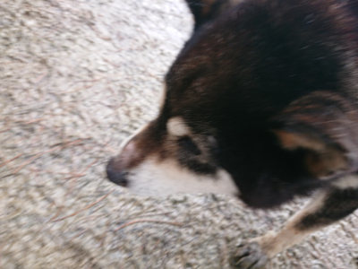 f:id:roukenhome-ann:20190204212706j:plain f:id:roukenhome-ann:20190204212706j:plain