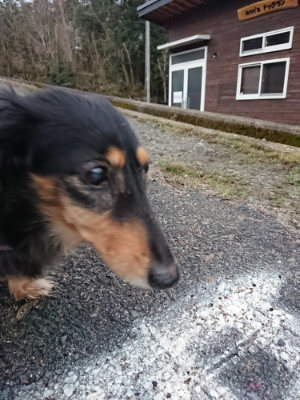 f:id:roukenhome-ann:20190204212717j:plain f:id:roukenhome-ann:20190204212717j:plain