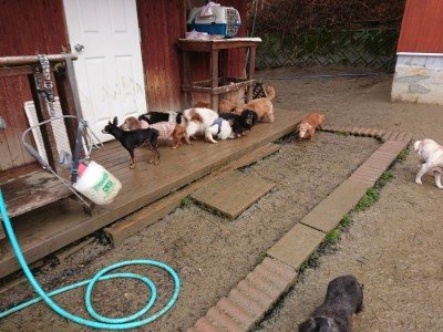 f:id:roukenhome-ann:20190204212722j:plain f:id:roukenhome-ann:20190204212722j:plain