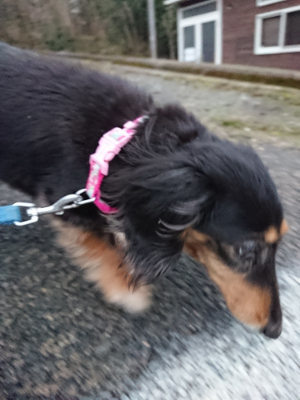 f:id:roukenhome-ann:20190204212834j:plain f:id:roukenhome-ann:20190204212834j:plain