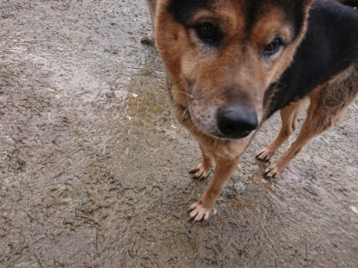 f:id:roukenhome-ann:20190204212911j:plain f:id:roukenhome-ann:20190204212911j:plain