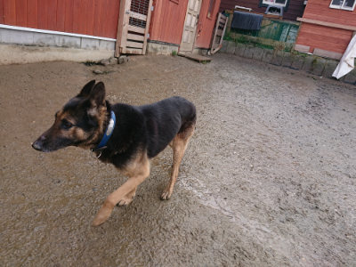 f:id:roukenhome-ann:20190204212950j:plain f:id:roukenhome-ann:20190204212950j:plain