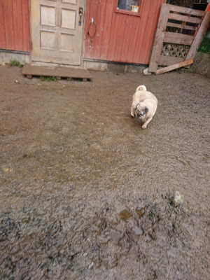 f:id:roukenhome-ann:20190204213008j:plain f:id:roukenhome-ann:20190204213008j:plain